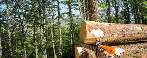 Livraison bois de chauffage en sud ardeche